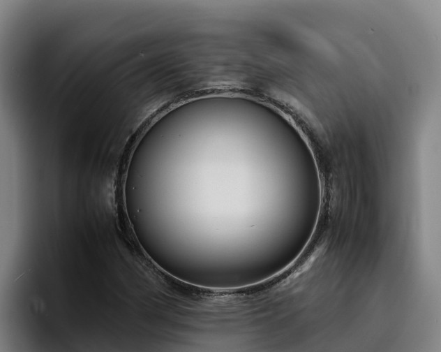 X0000094951162200712061245