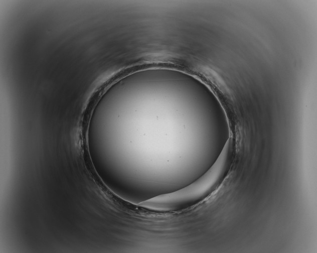 X0000094951164200712061245