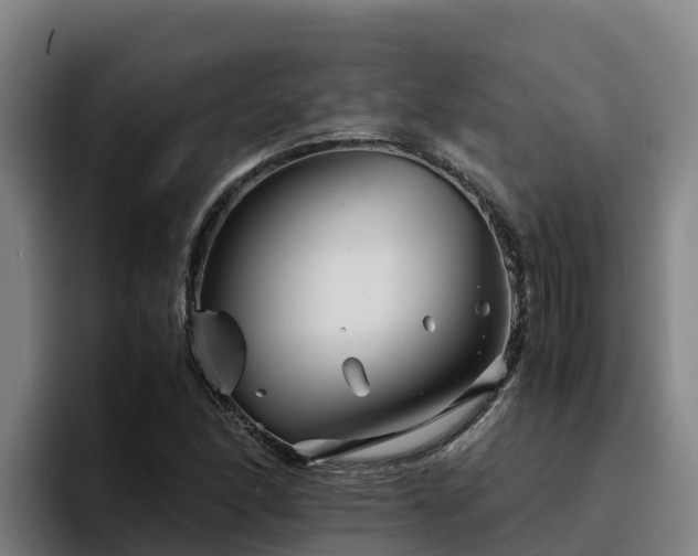 X0000094951166200712061245