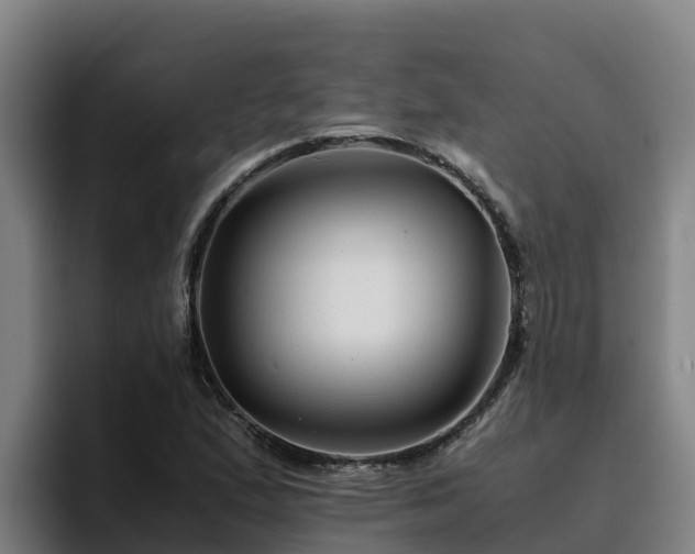 X0000094951167200712061245