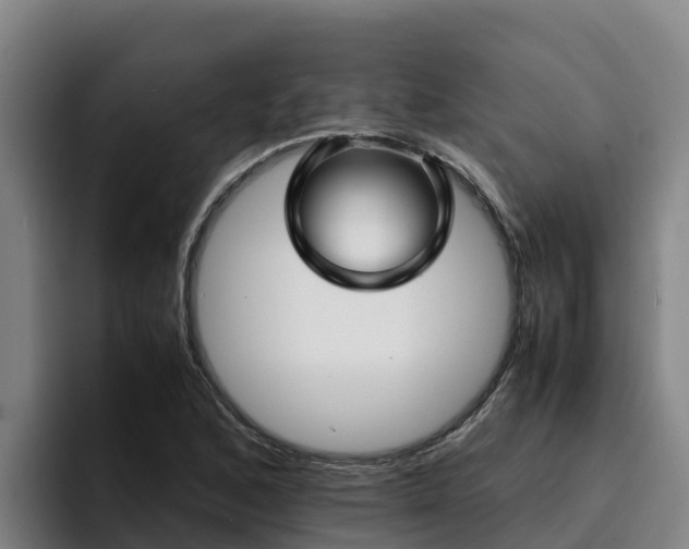 X0000094951168200712061245