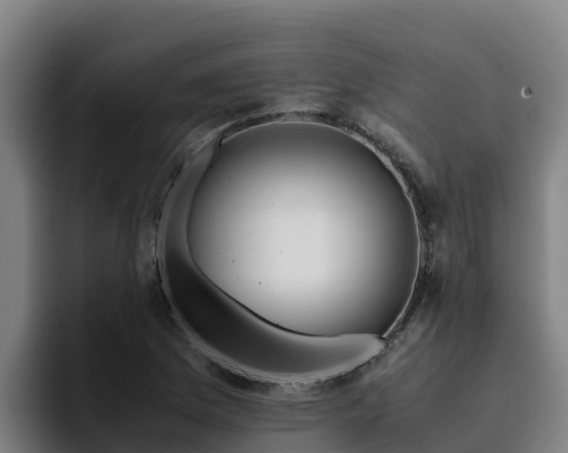 X0000094951169200712061245