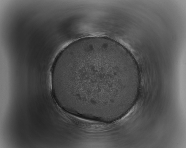 X0000094951171200712061245