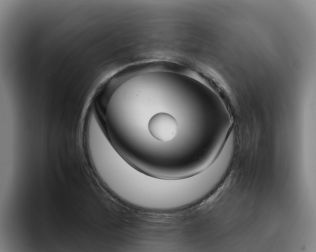 X0000094951172200712061245