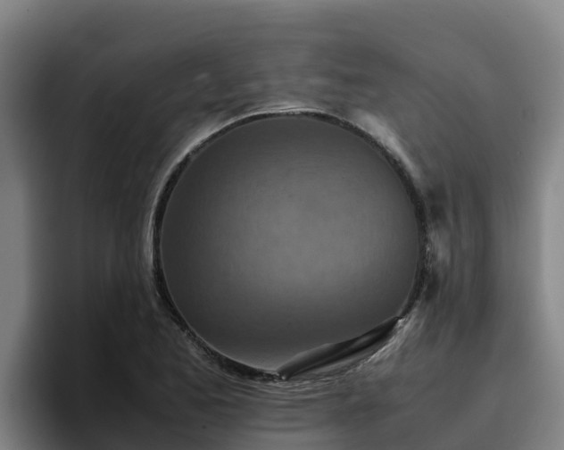 X0000094951173200712061245