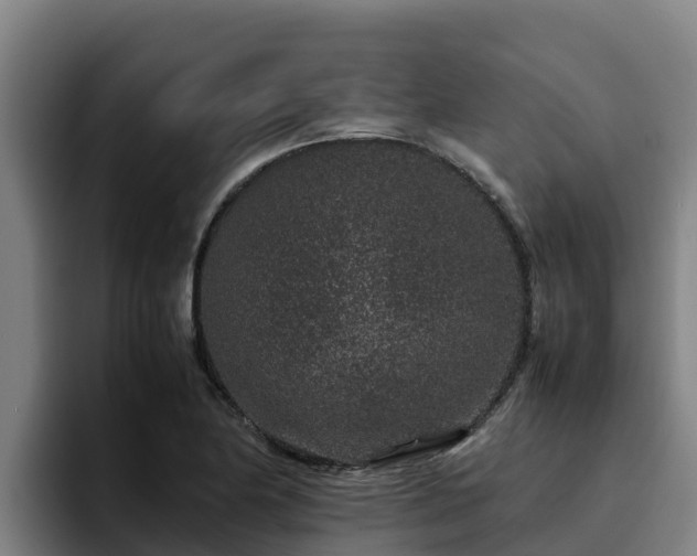 X0000094951174200712061245