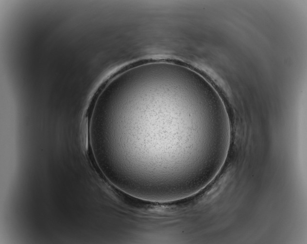 X0000094951175200712061245