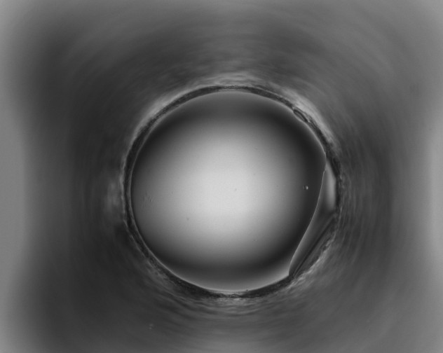 X0000094951176200712061245