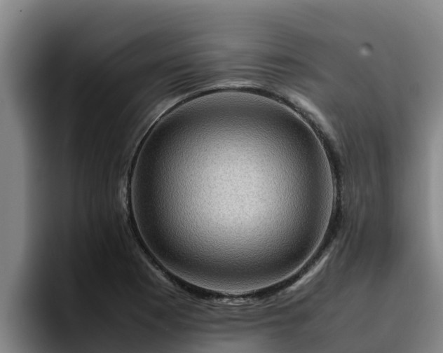 X0000094951177200712061245