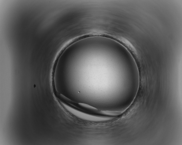 X0000094951183200712061245