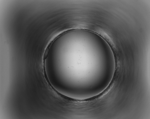 X0000094951184200712061245