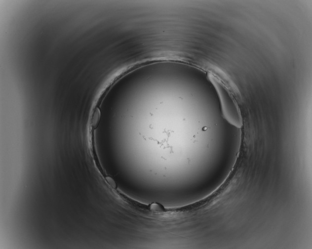 X0000094951188200712061245