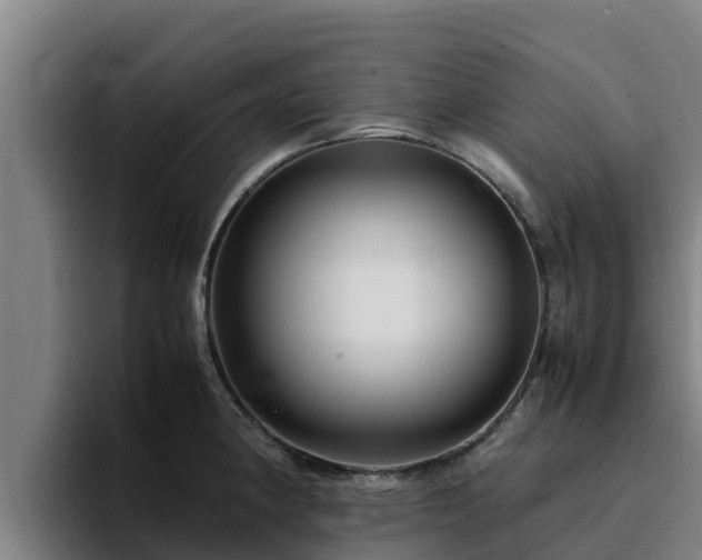 X0000094951190200712061245