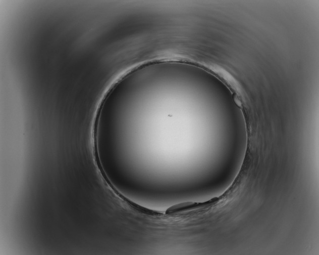 X0000094951191200712061245