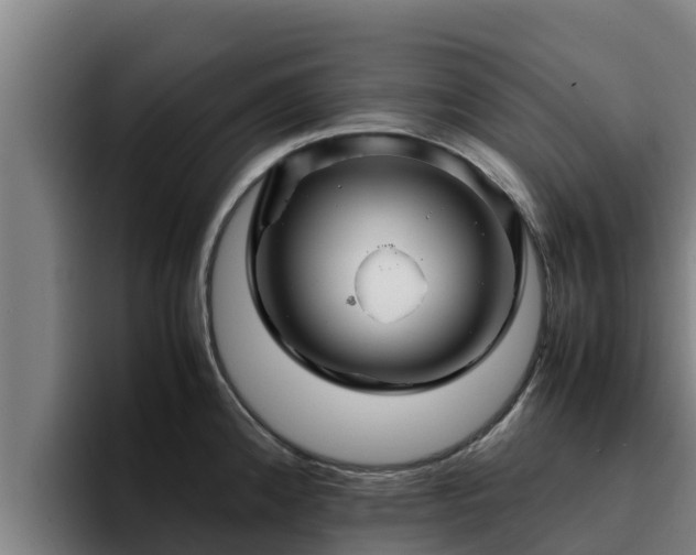 X0000094951192200712061245