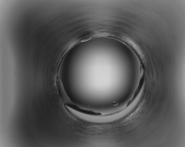 X0000094951193200712061245