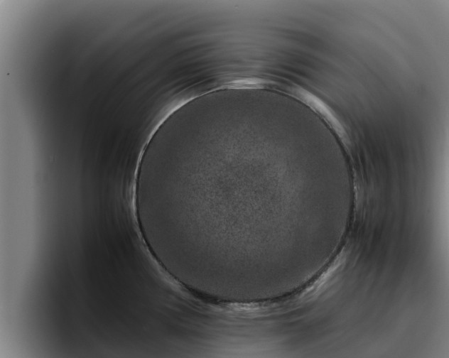 X0000094951194200712061245