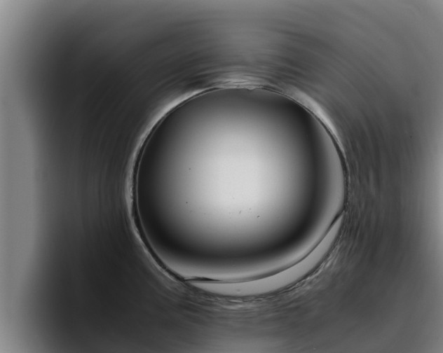 X0000094951195200712061245