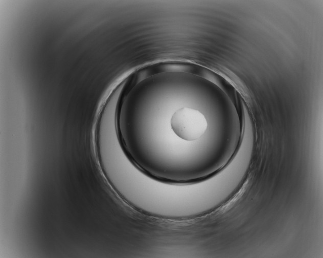 X0000094951196200712061245