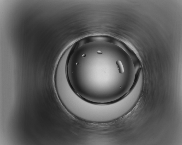 X0000094951197200712061245