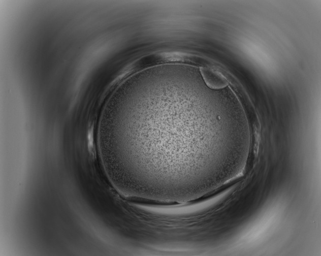 X0000094951198200712061245