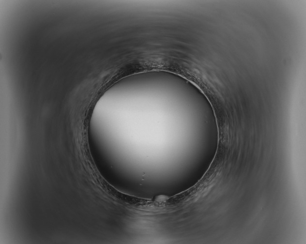 X0000094951201200712061244