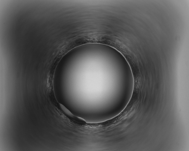 X0000094951202200712061244