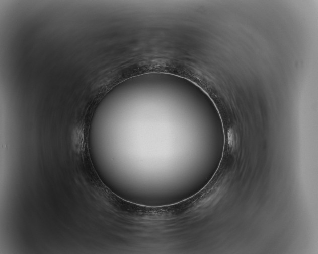 X0000094951203200712061244