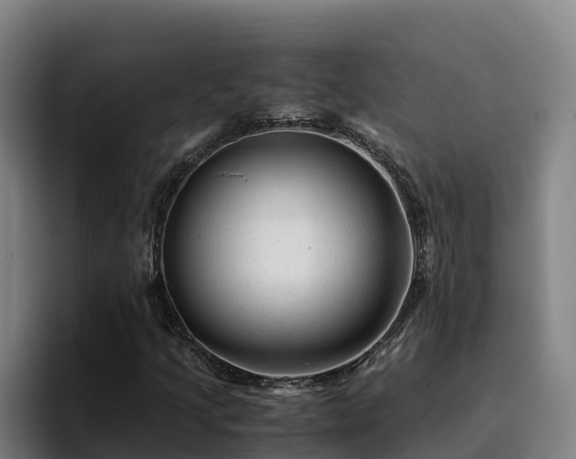 X0000094951205200712061244