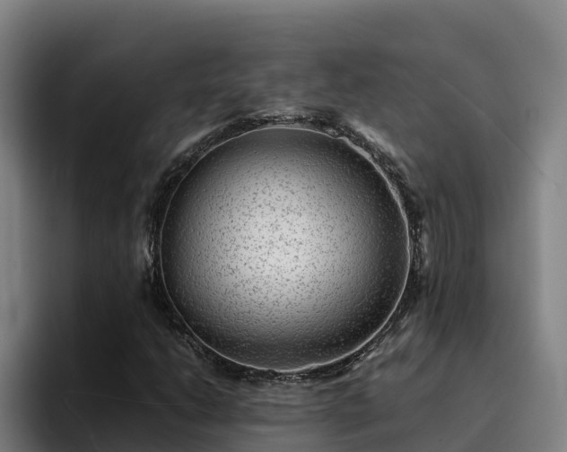 X0000094951206200712061244