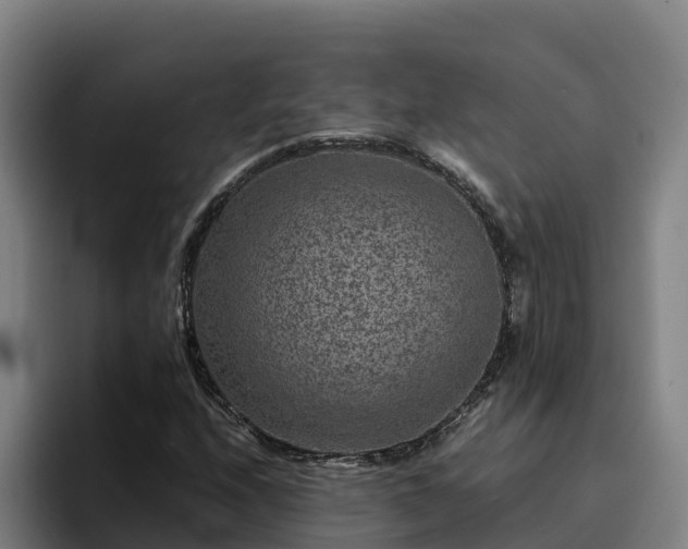 X0000094951208200712061244