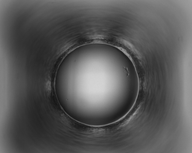 X0000094951209200712061244