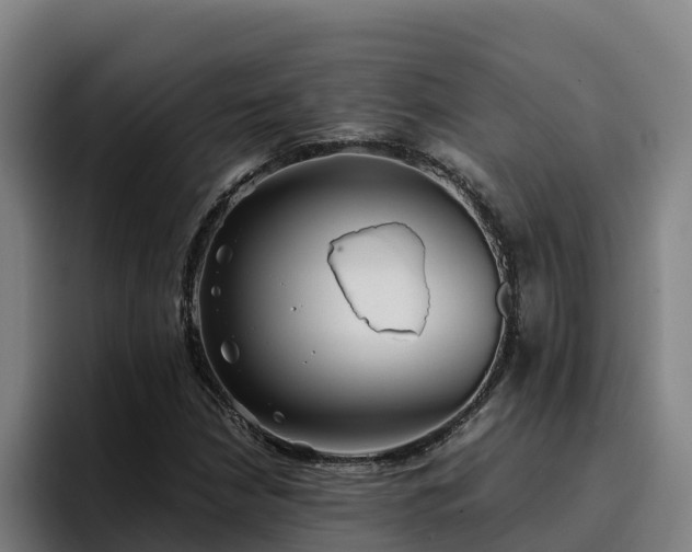 X0000094951210200712061244