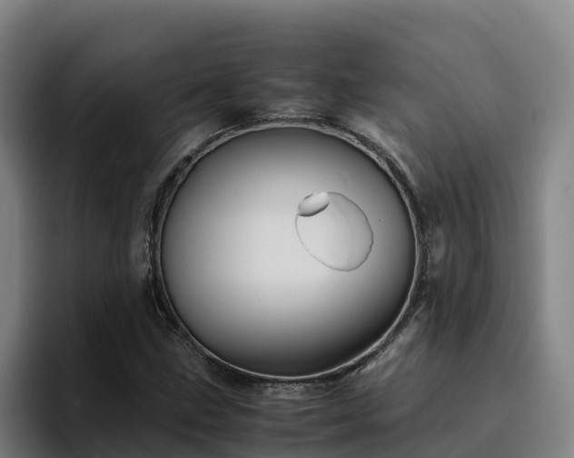 X0000094951211200712061244