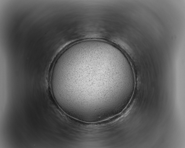 X0000094951212200712061244