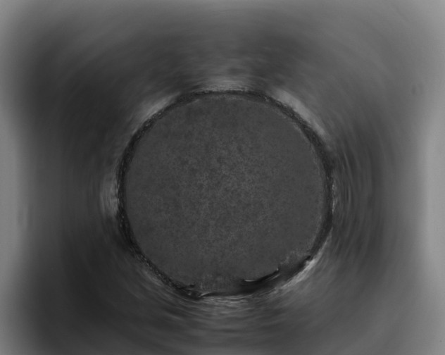 X0000094951213200712061244