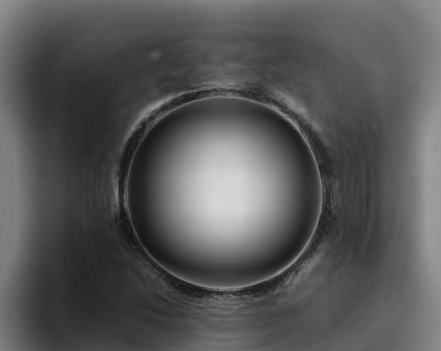 X0000094951214200712061244