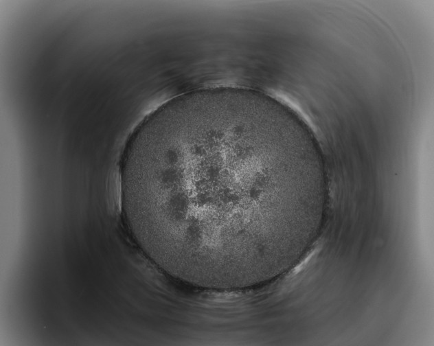 X0000094951219200712061244