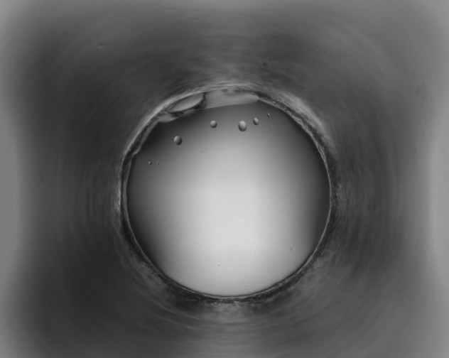 X0000094951220200712061244