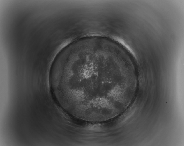 X0000094951221200712061244