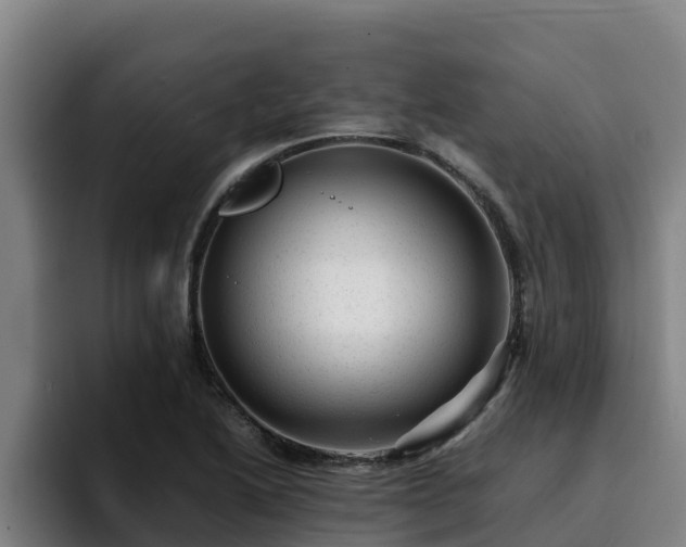 X0000094951222200712061244