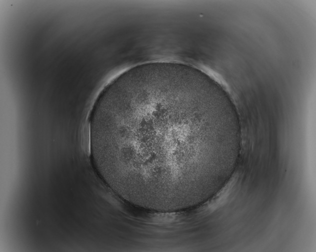 X0000094951223200712061244