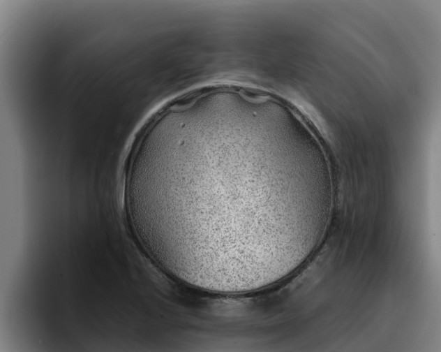 X0000094951224200712061244