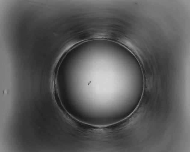 X0000094951227200712061245