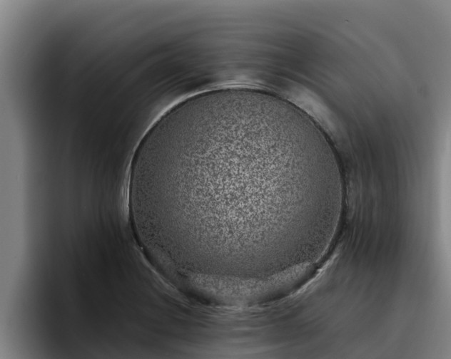 X0000094951228200712061245