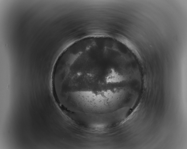 X0000094951229200712061245