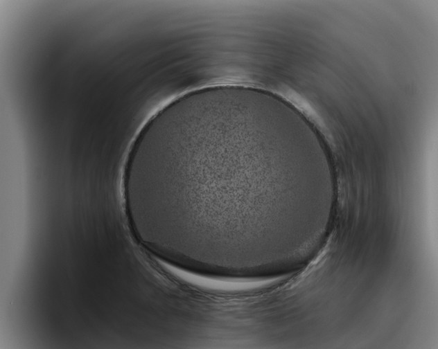 X0000094951230200712061245