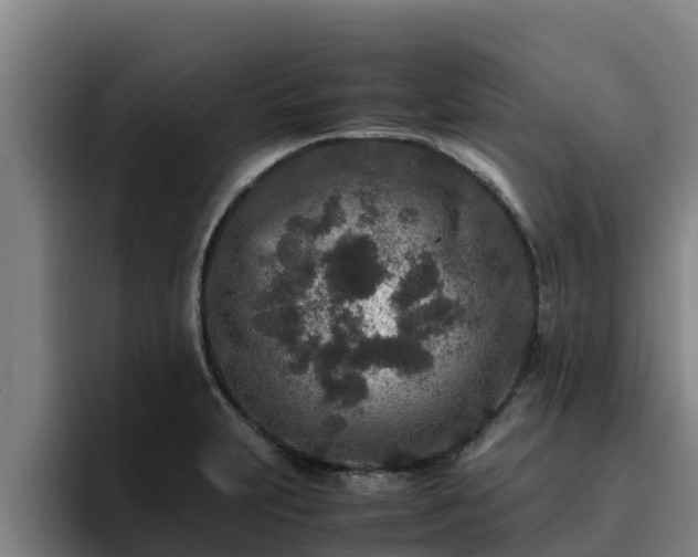 X0000094951231200712061245