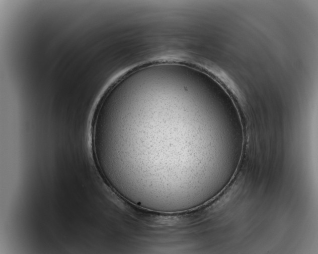 X0000094951232200712061245