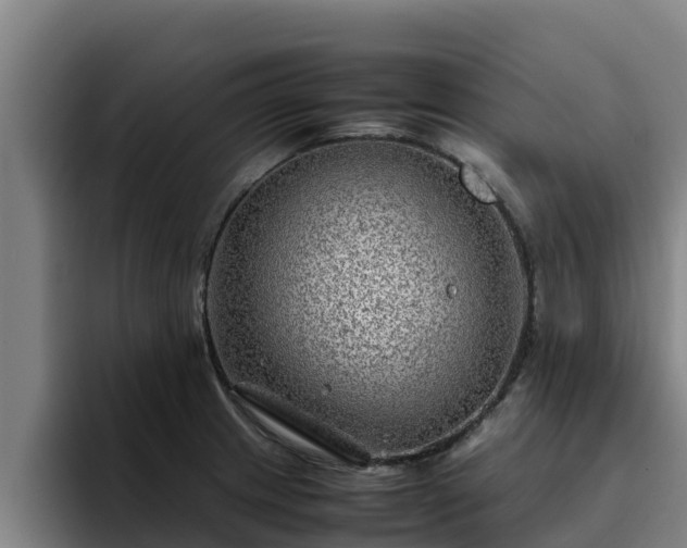 X0000094951233200712061245